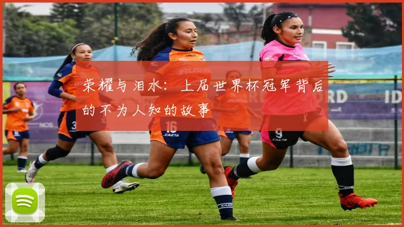 荣耀与泪水：上届世界杯冠军背后的不为人知的故事